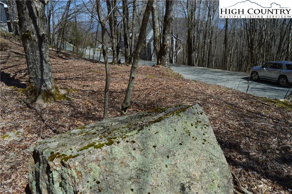 Image number 6 for the current listing