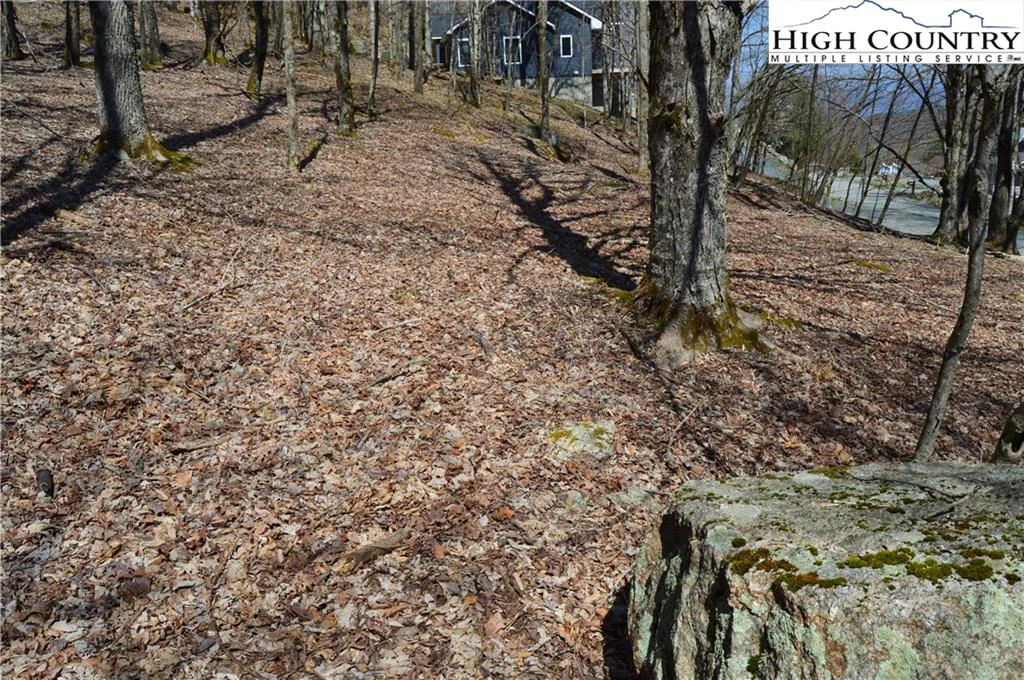 Image number 5 for the current listing