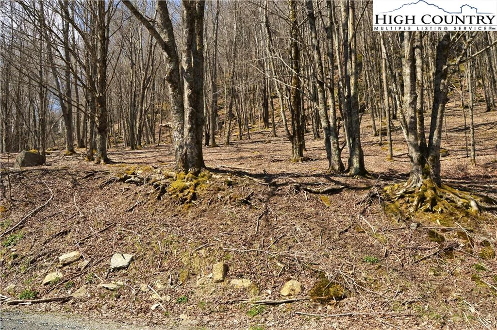 Image number 16 for the current listing