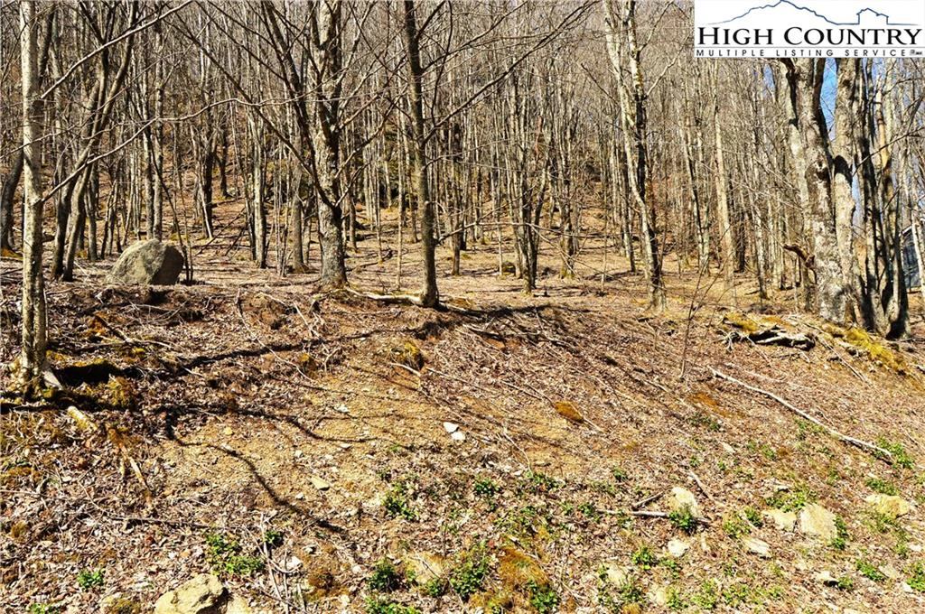 Image number 13 for the current listing