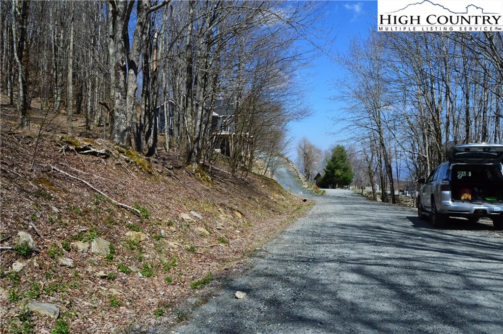 Image number 12 for the current listing