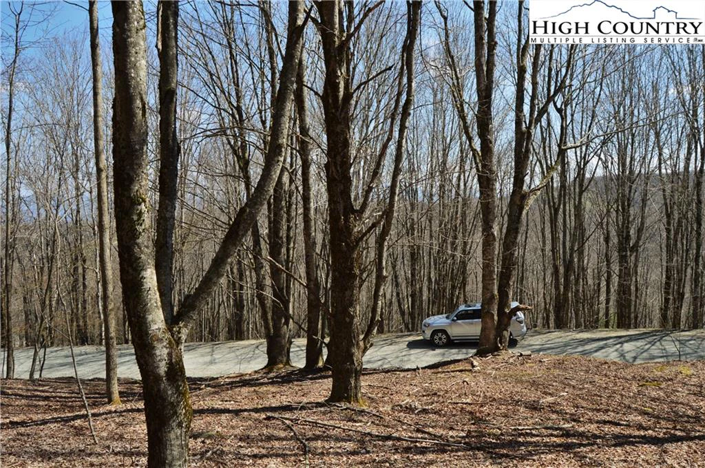 Image number 11 for the current listing
