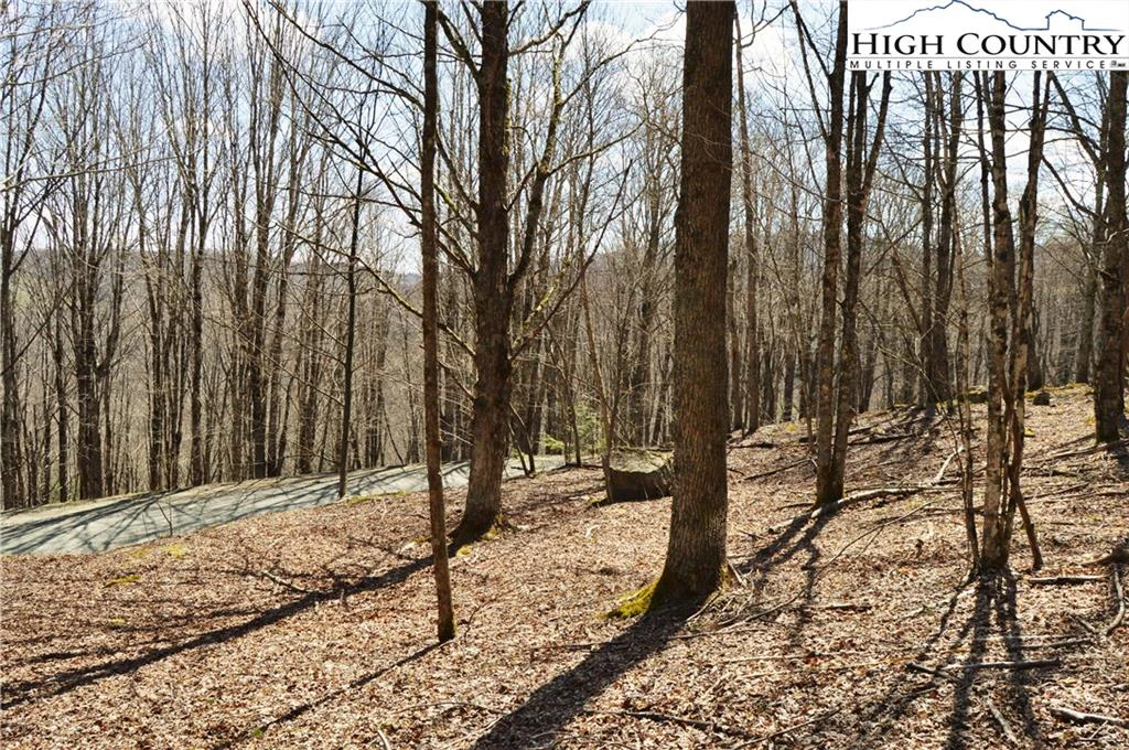 Image number 2 for the current listing