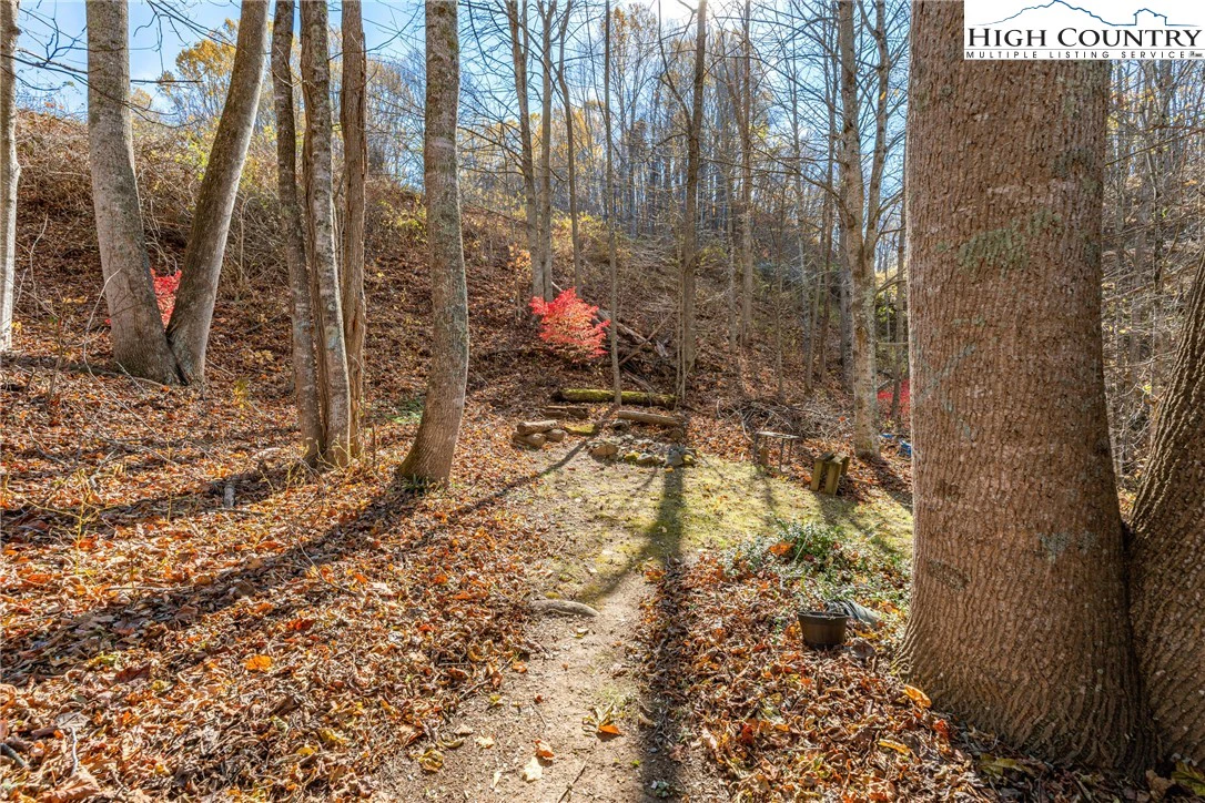 Image number 2 for the current listing