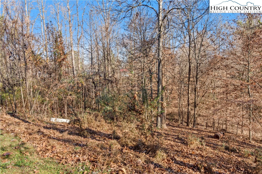 Image number 5 for the current listing