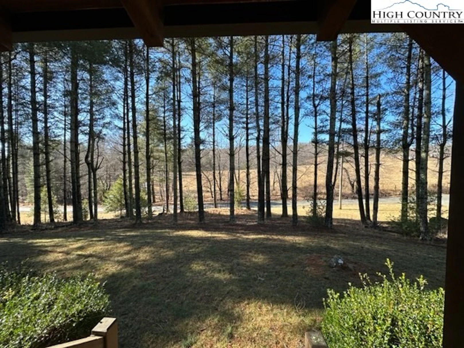 Image number 12 for the current listing