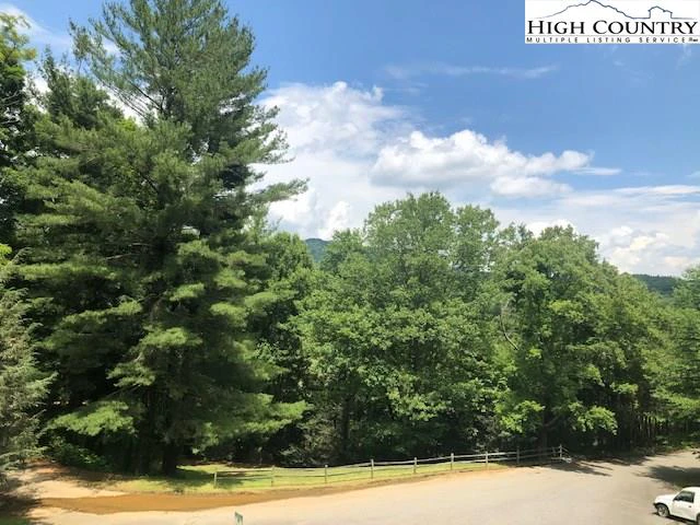 Image number 3 for the current listing