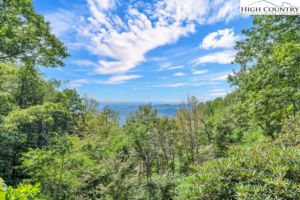 Image number 4 for the current listing