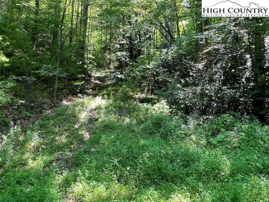 Image number 2 for the current listing