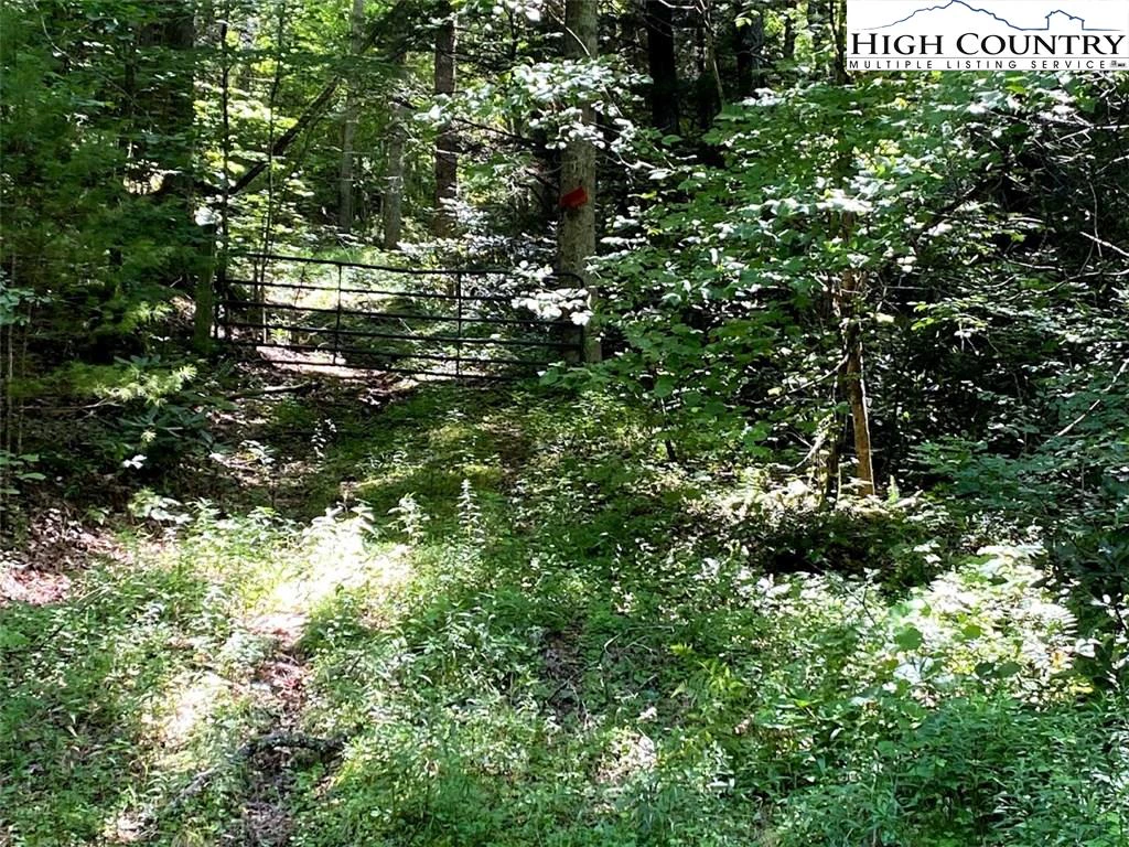 Image number 13 for the current listing