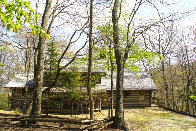 Image number 19 for the current listing