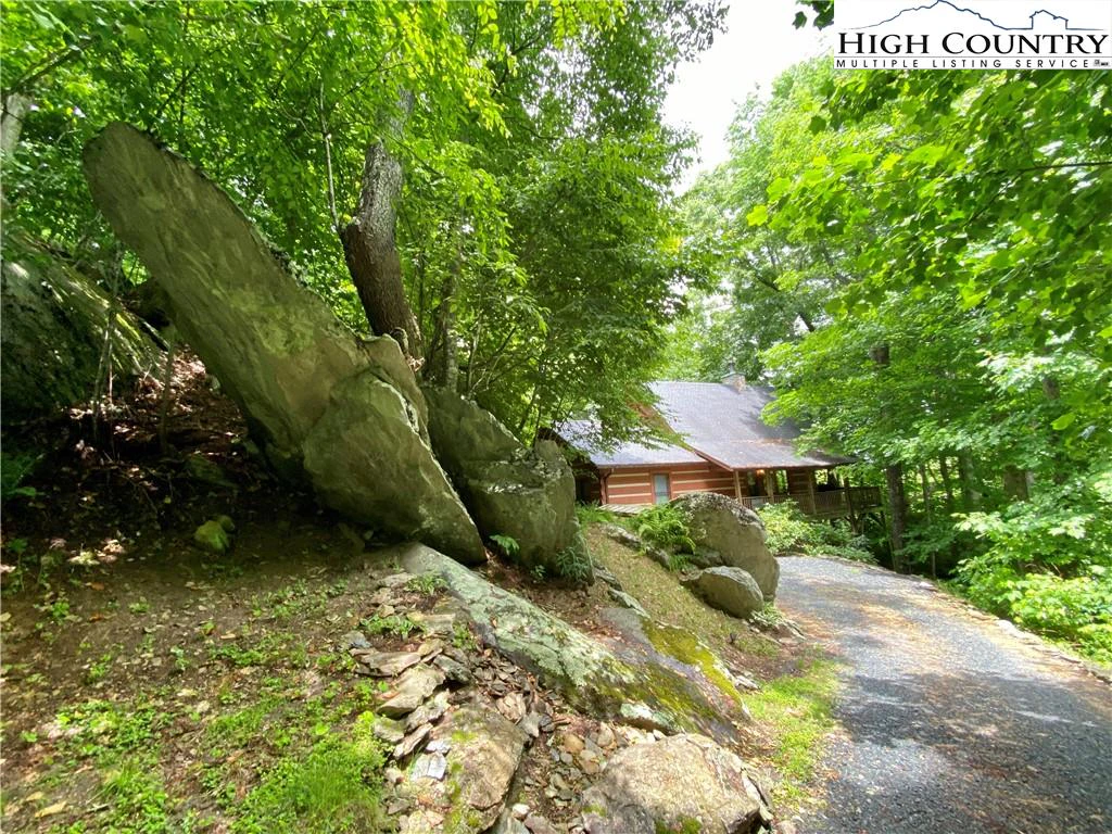Image number 5 for the current listing