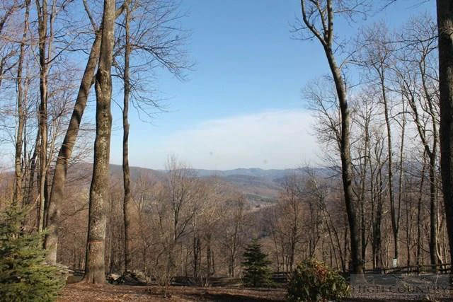 Image number 7 for the current listing