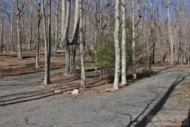 Image number 9 for the current listing
