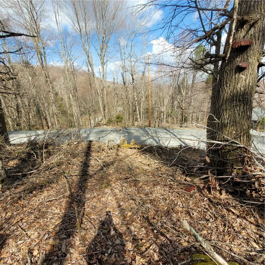 Image number 1 for the current listing