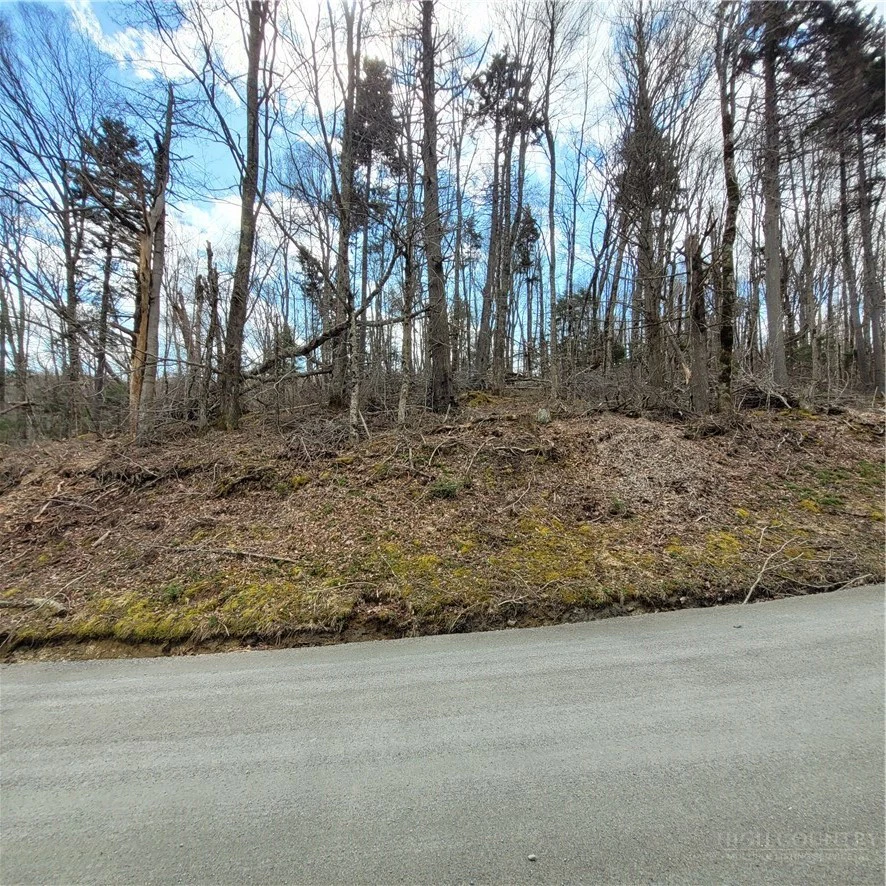 Image number 7 for the current listing
