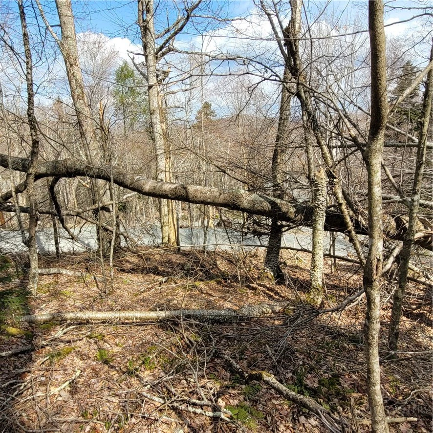 Image number 8 for the current listing