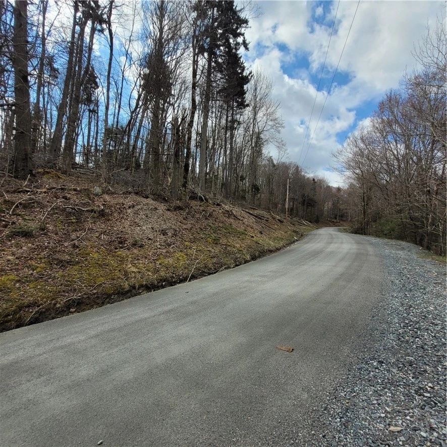Image number 9 for the current listing