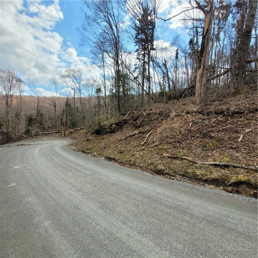 Image number 10 for the current listing