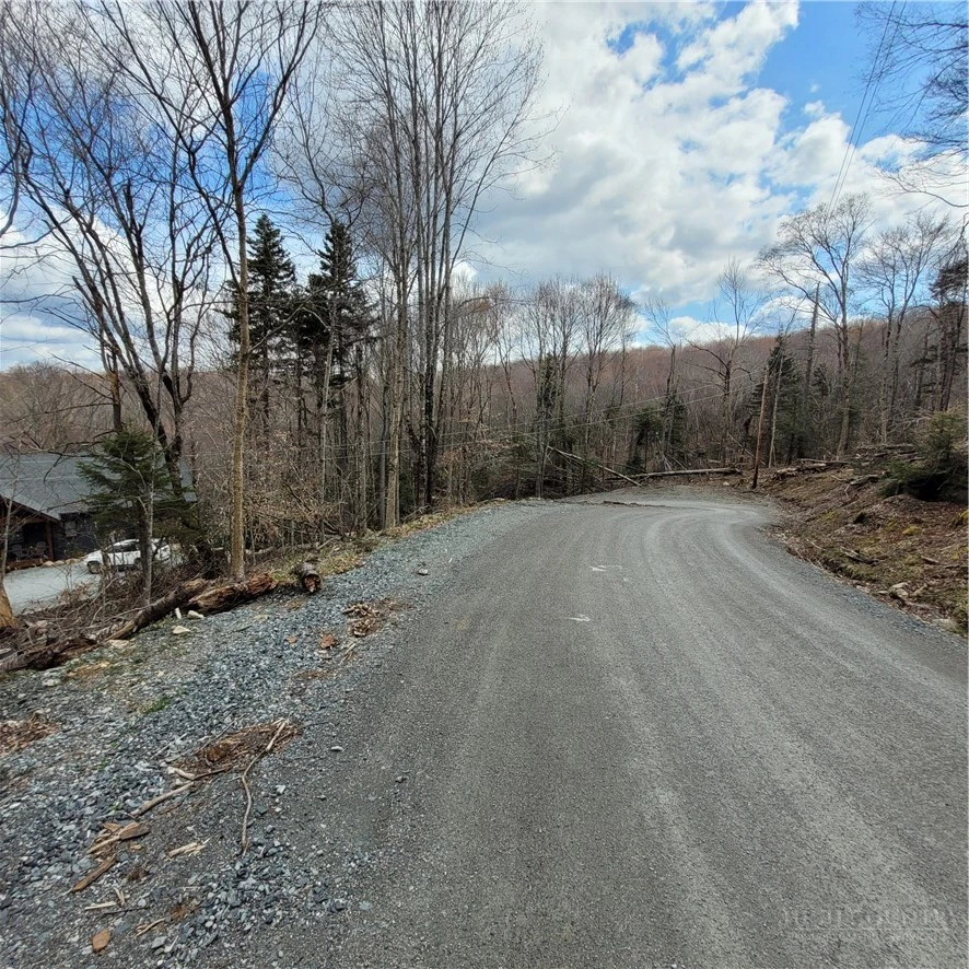Image number 11 for the current listing