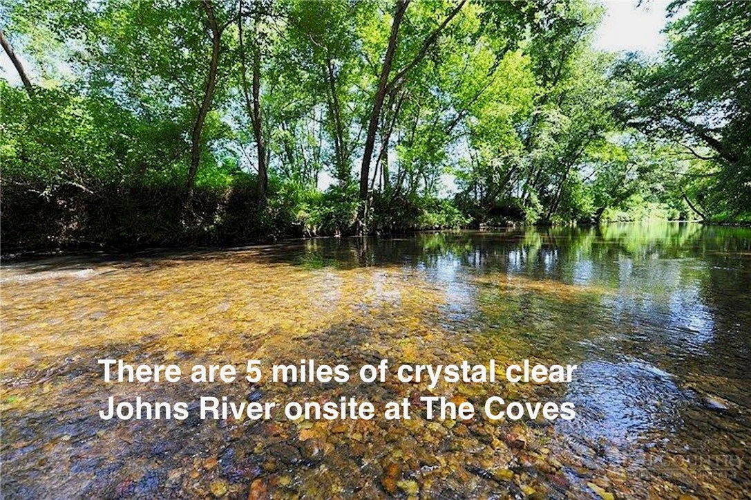 Image number 7 for the current listing