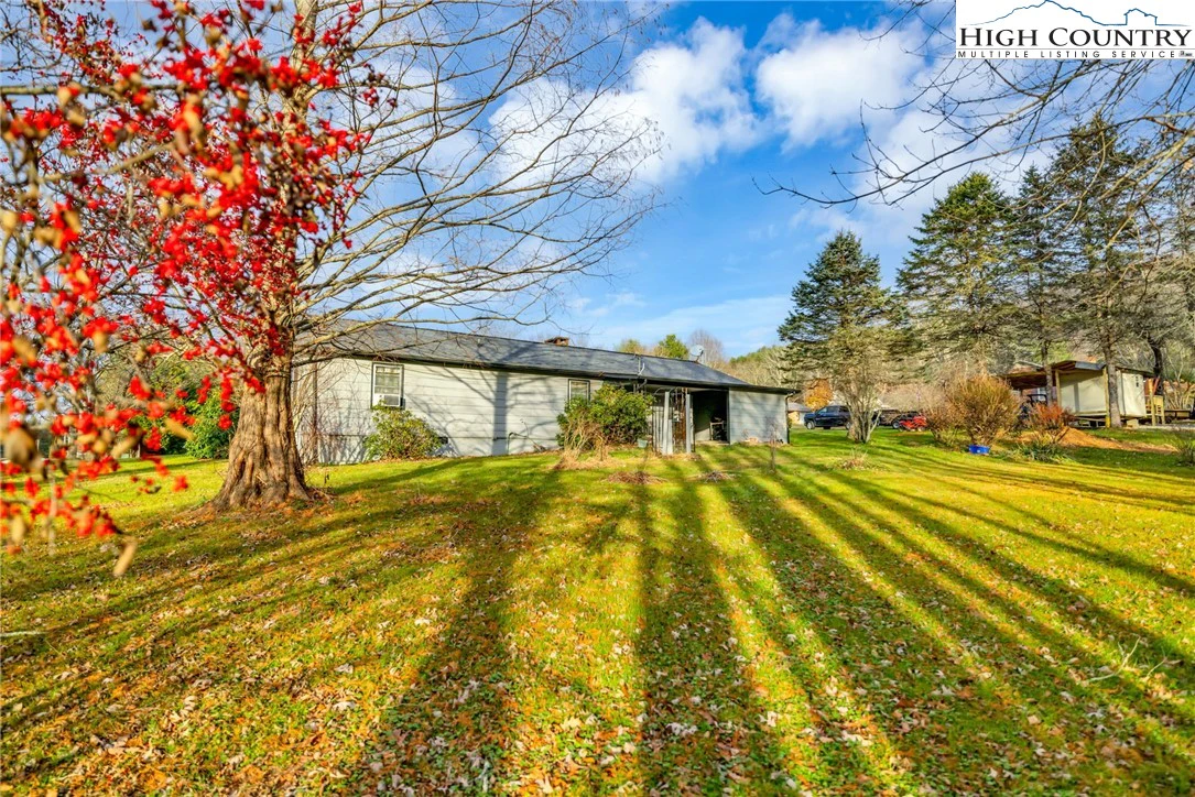 Image number 13 for the current listing