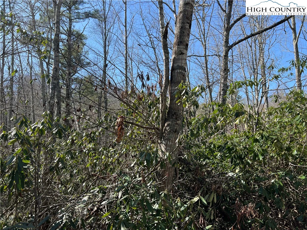 Image number 2 for the current listing