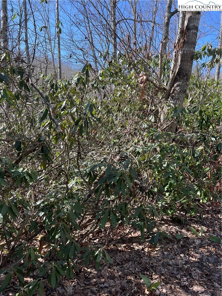 Image number 1 for the current listing