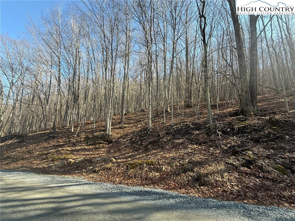 Image number 1 for the current listing