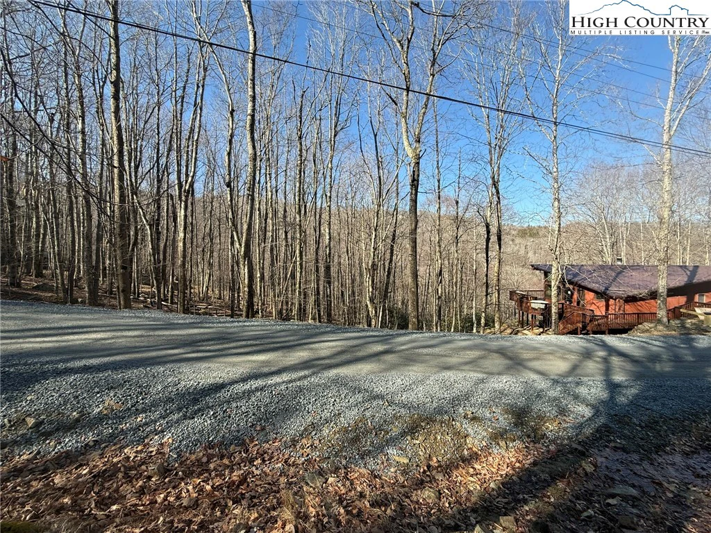 Image number 7 for the current listing