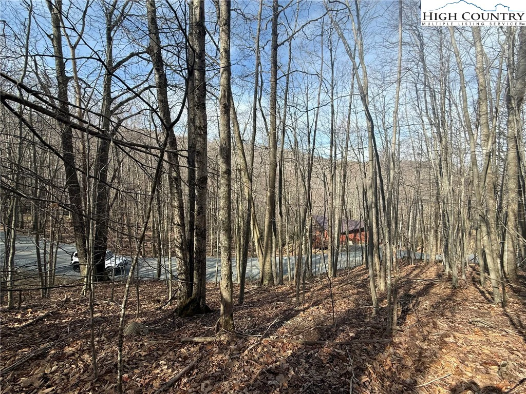 Image number 9 for the current listing