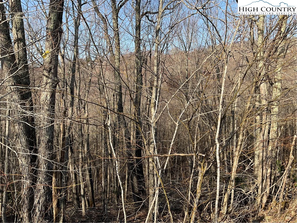 Image number 1 for the current listing