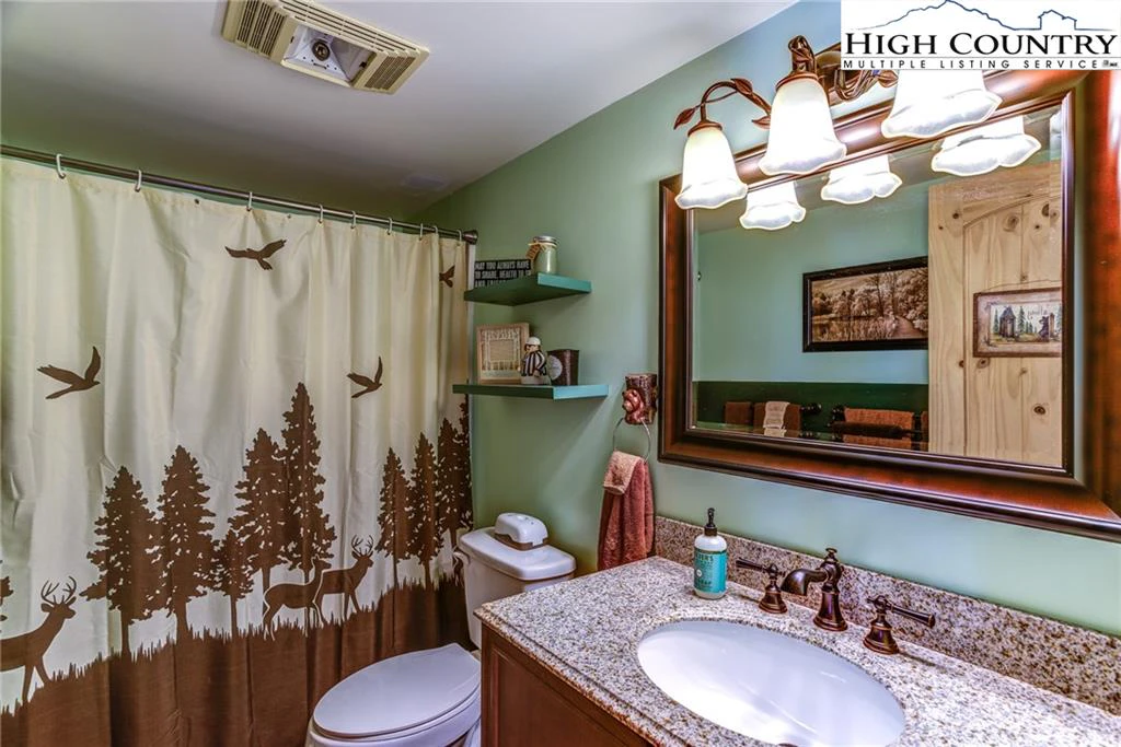 Image number 4 for the current listing