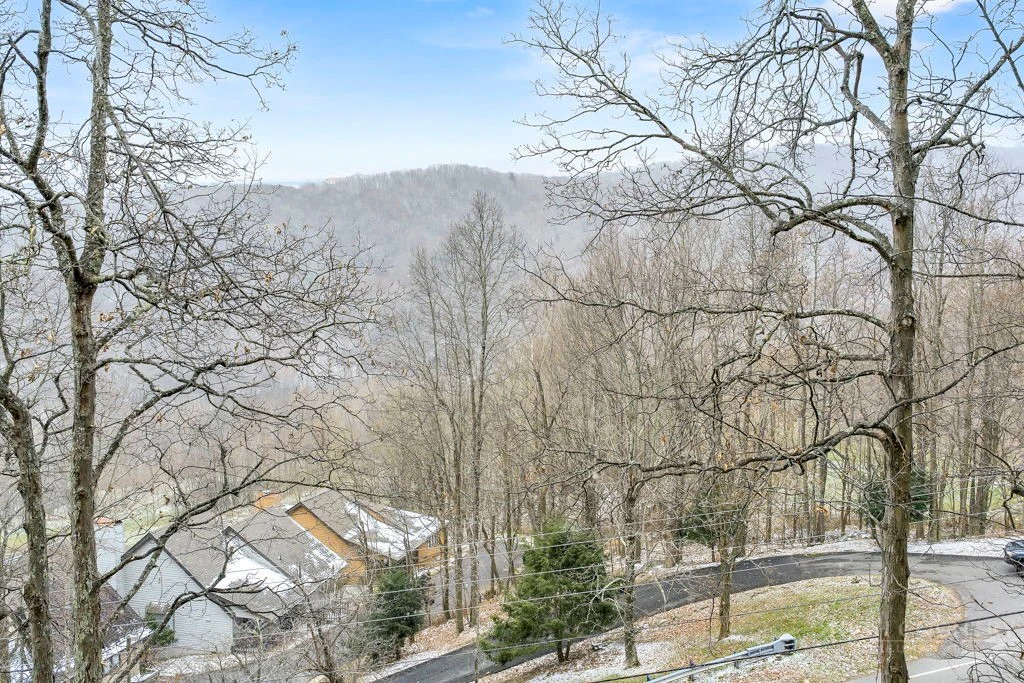Image number 3 for the current listing