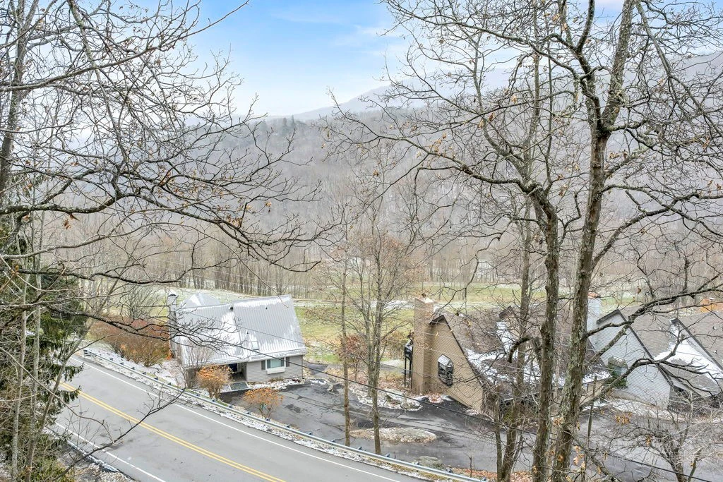 Image number 8 for the current listing
