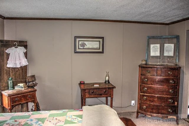 Image number 5 for the current listing