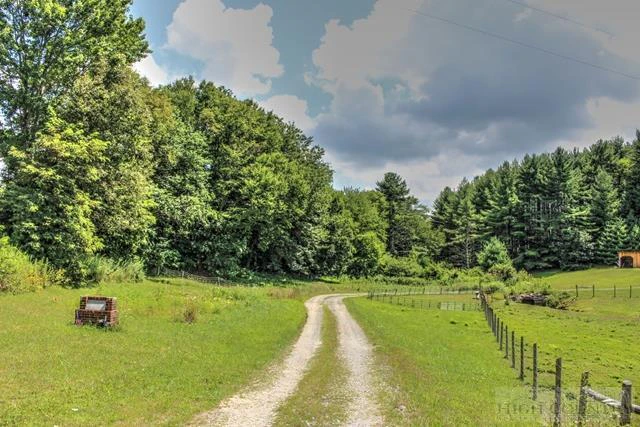 Image number 2 for the current listing