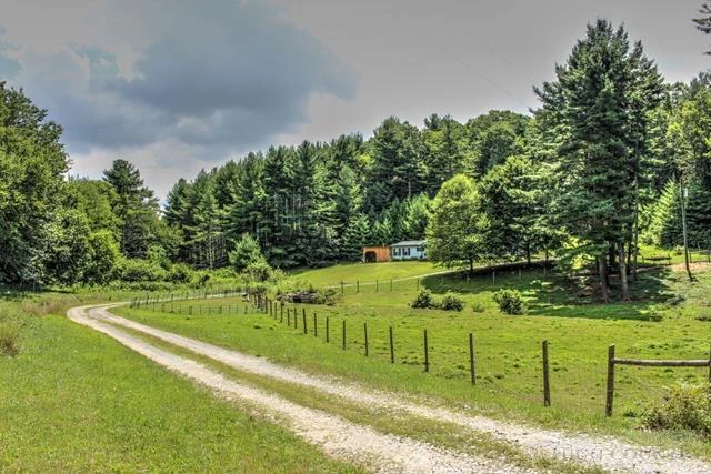Image number 11 for the current listing