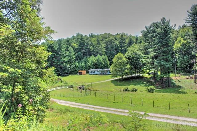 Image number 12 for the current listing