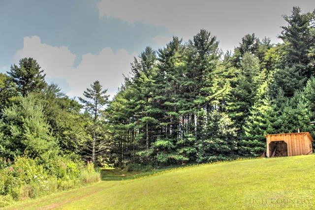 Image number 15 for the current listing