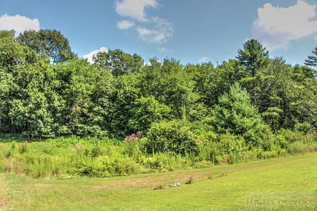 Image number 16 for the current listing