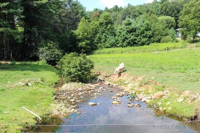 Image number 18 for the current listing