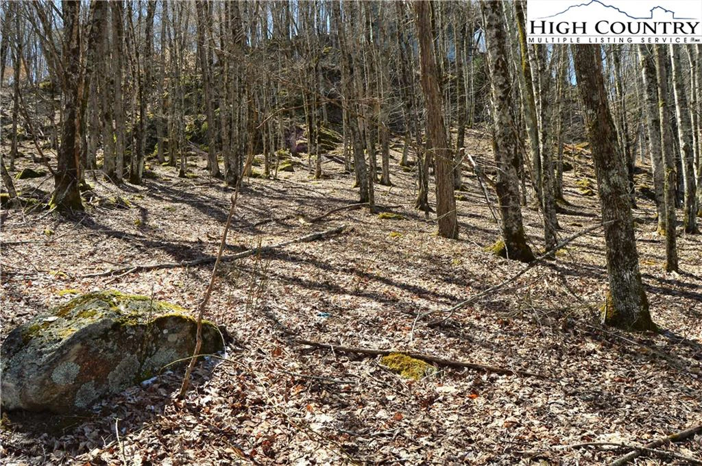 Image number 7 for the current listing