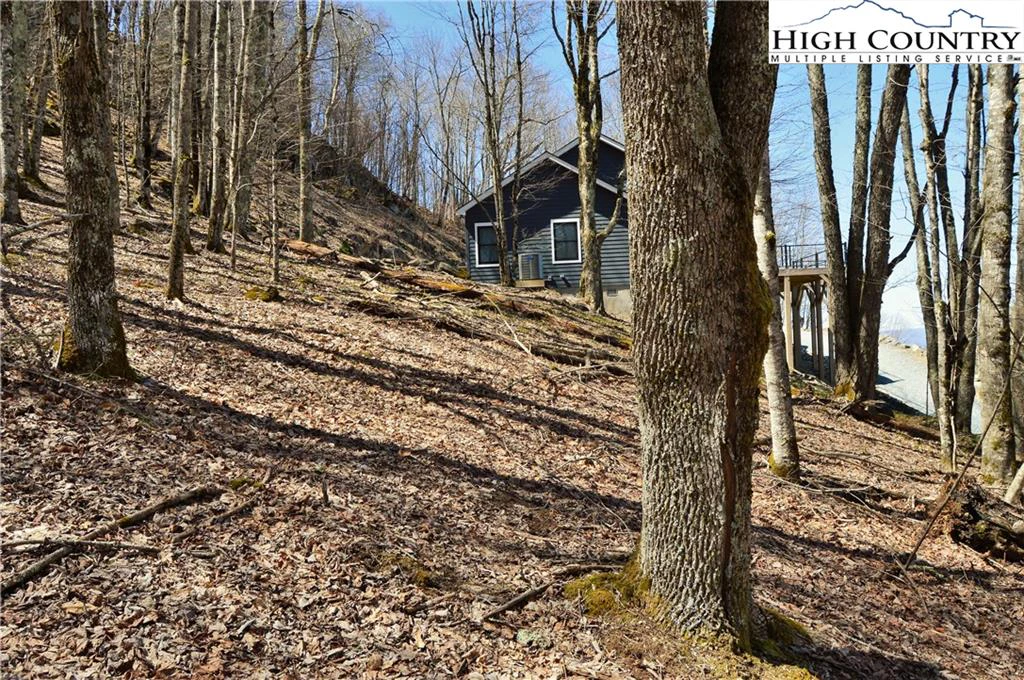 Image number 6 for the current listing
