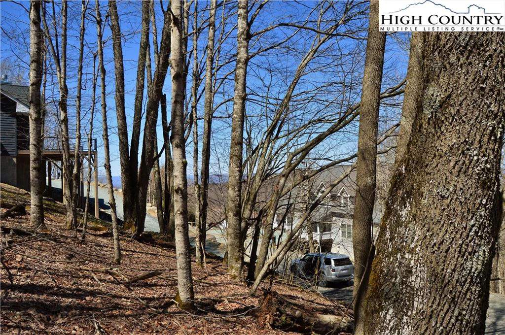 Image number 5 for the current listing