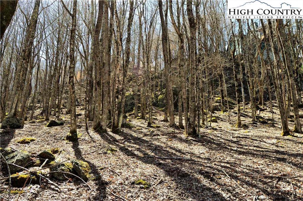 Image number 4 for the current listing