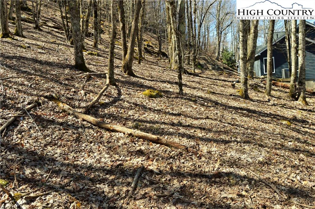 Image number 3 for the current listing