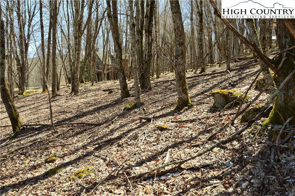 Image number 15 for the current listing