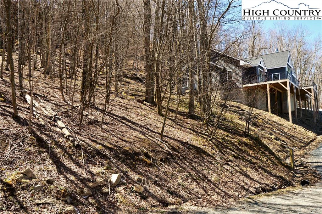 Image number 11 for the current listing