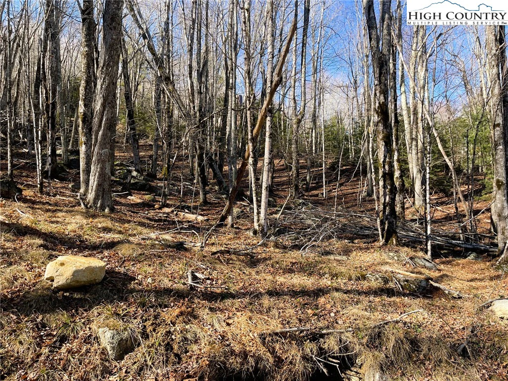 Image number 1 for the current listing